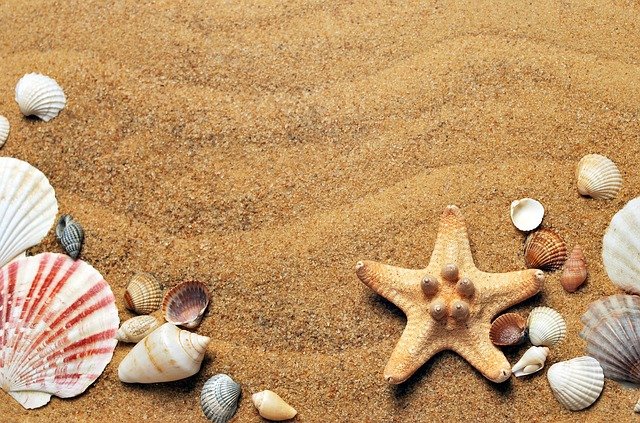 Cosa Devi Sapere sulla Truffa del Bonus Vacanze?